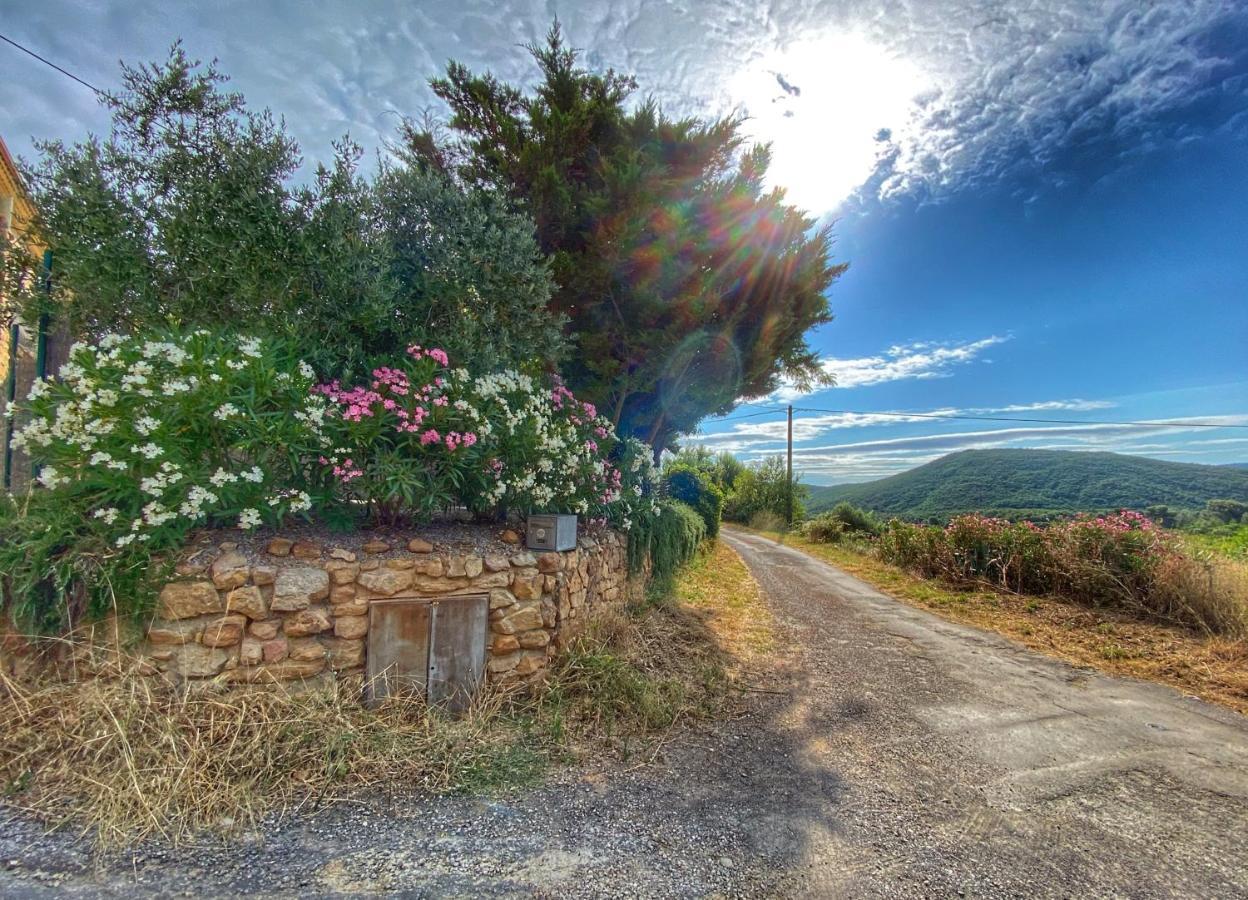 Pradines Villa Saint-Andre-de-Roquelongue Bagian luar foto
